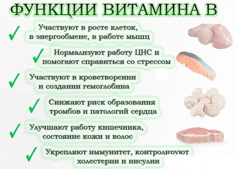 Витамины группы б функции. Витамин b функции. Витамин б роль в организме. Роль витаминов группы b. Витамин в 1 функции