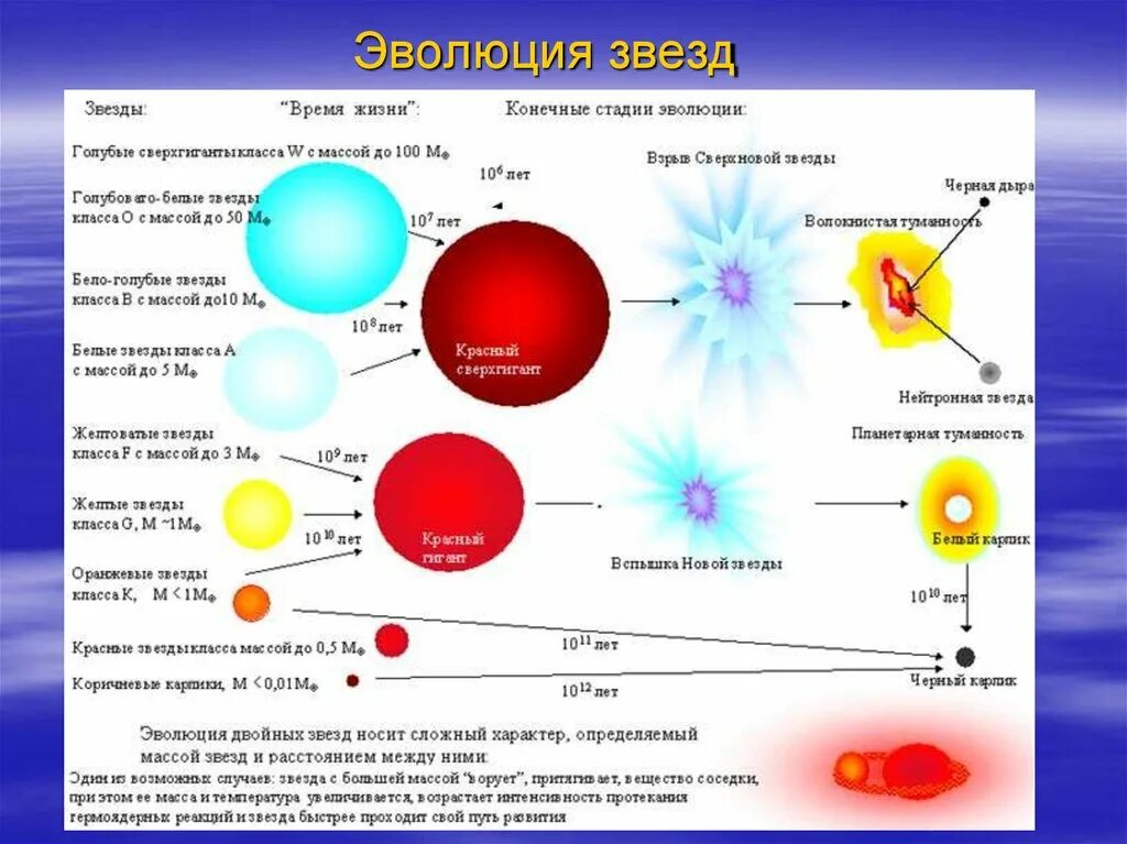 1 эволюция звезд. Жизненный цикл звезды схема. Стадии эволюции звезд схема. Цикл жизни звезды схема. Эволюция звёзд её этапы схема.