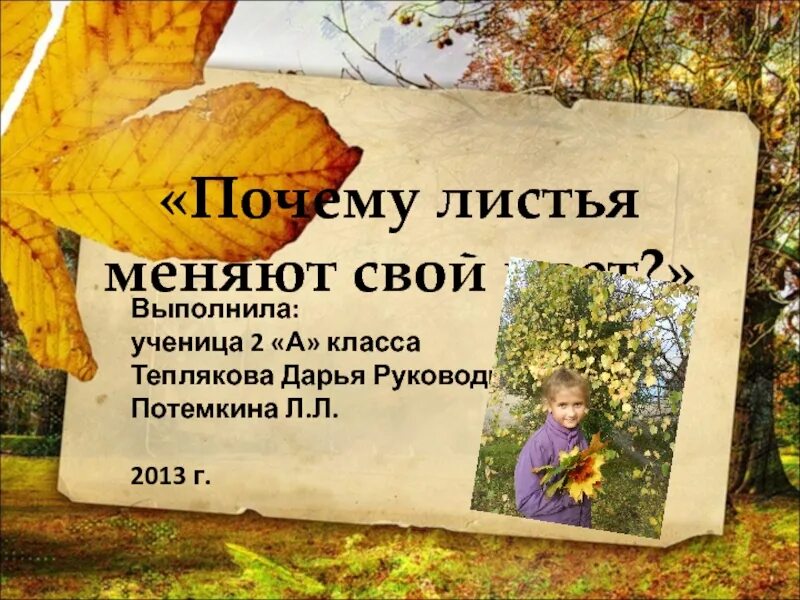 Почему листья меняют окрас. Отчего осенью листья меняют цвет. почему листья меняют свой цвет. почему листья меняют свой цвет осенью. почему осенью листья меняют окраску.