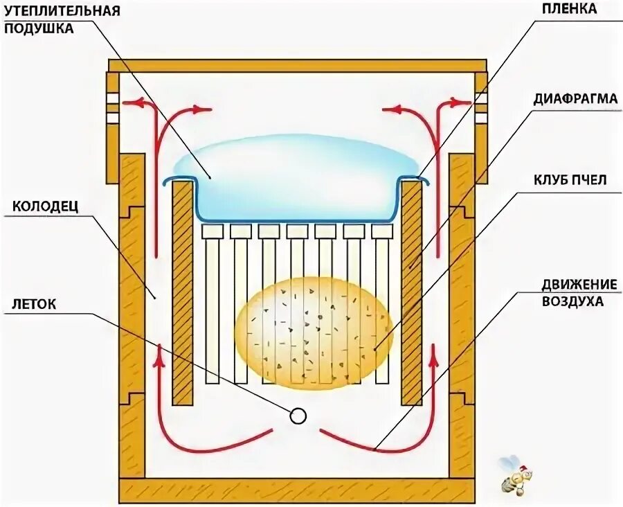 Температура улья пчел. Схема сборки пчелиного гнезда на зиму. Вентиляционная дырка для улей схема. Строение гнезда пчел. Структура пчелиного гнезда схема.