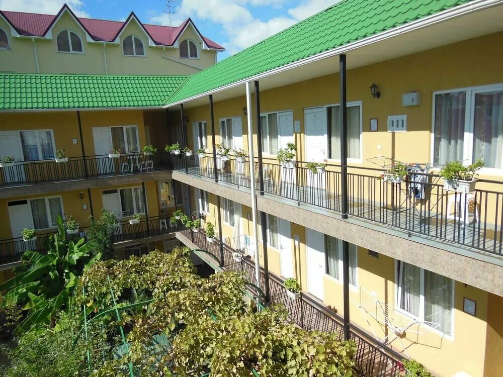 сочи адлер ул чкалова. тихая гавань сочи гостевой дом. гостевой дом самшит адлер. адлер отель экзотик на чкалова 27. чкалова 34.