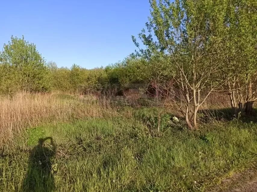 Участок снт родник. Участок земли Калининград. Родники Калининградская.