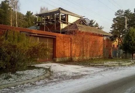Продам курья