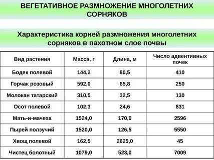 Биологические группы сорняков