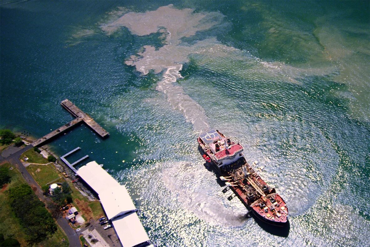 Экологические проблемы и их решения японского моря. Экологические проблемы черного моря и пути их решения. Экология японского моря. Загрязнение японского моря. Экологическая ситуация берингово моря.