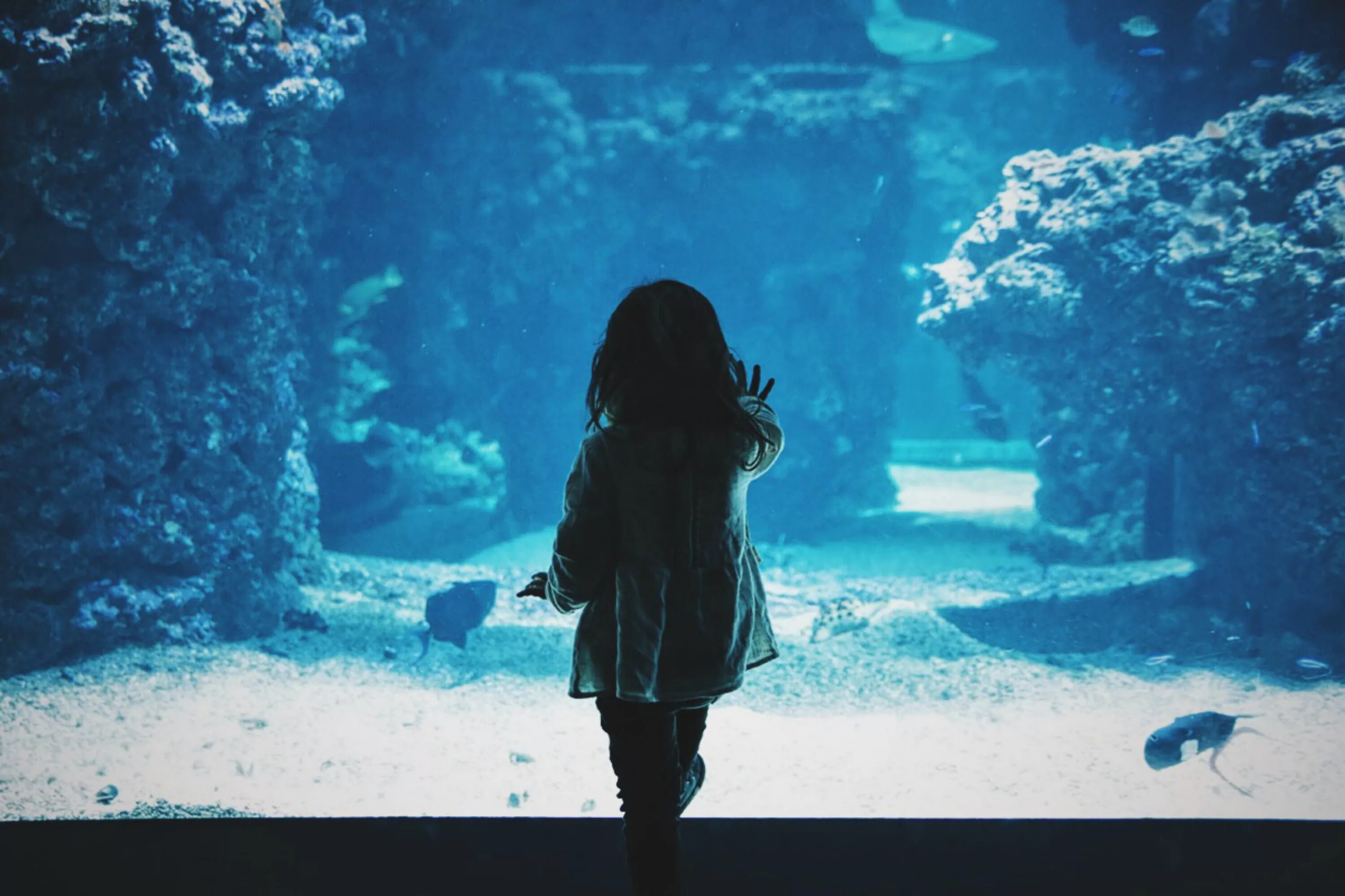 Бесплатная красивая спокойная музыка. Девушка в океанариуме. Девушка около аквариума. Фотосессия в океанариуме девушки. Девочка в океанариуме.