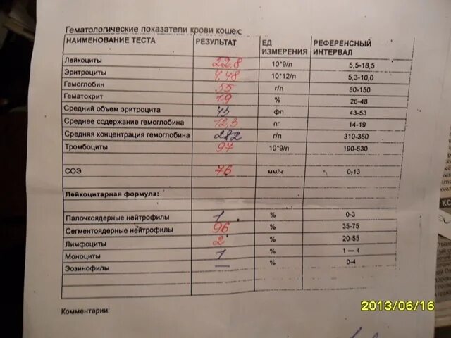 Проблемы с кишечником какие анализы. Анализ крови при. Анализ крови при онкологии. Показатели анализов при. Клинический анализ крови онкобольного.