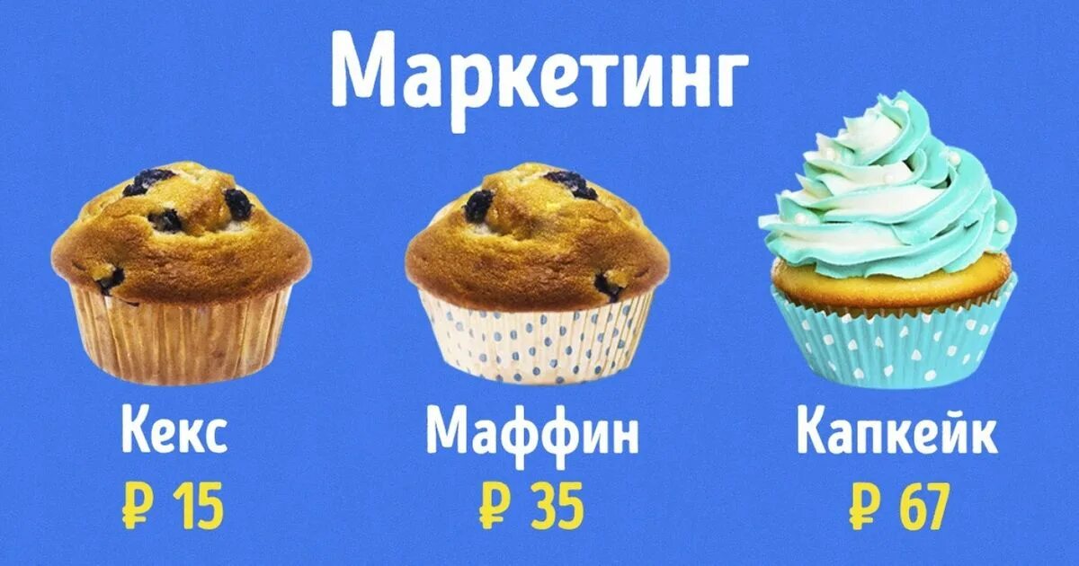 Чем отличается маффин от кекса. Маркетинг кекс. шутки про маффины. кекс маффин капкейк. капкейк это кекс с маркетингом.