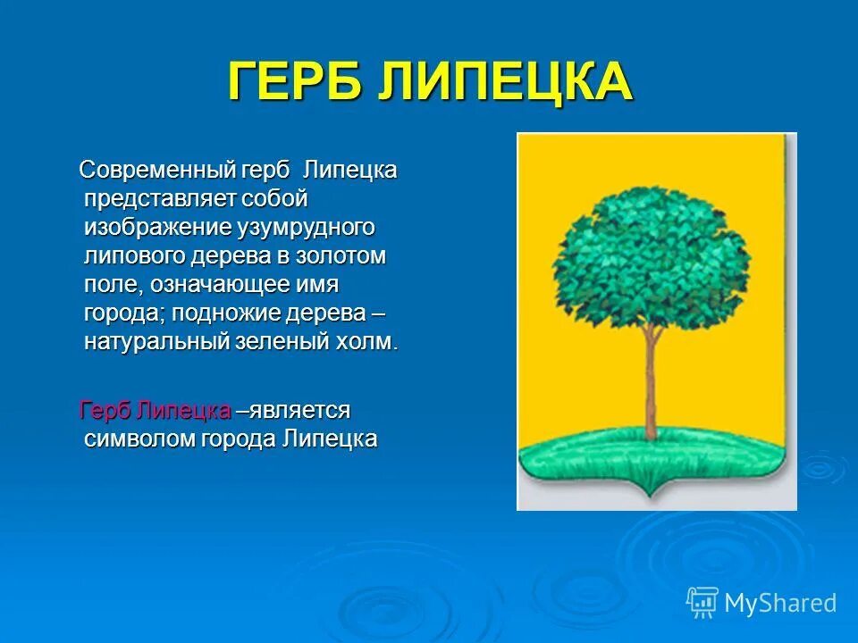 Герб Липецка. Описать герб Липецка. Герб и флаг Липецка. Символы города Липецка. Имена обозначающие дерево