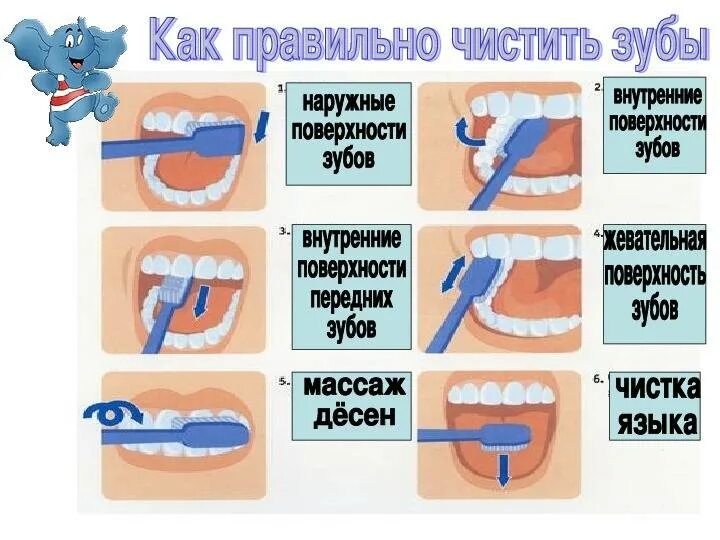 Тест гигиена полости рта. Схема чистки зубов. Чистим зубы!. Уход за зубами. Схема правильной чистки зубов.