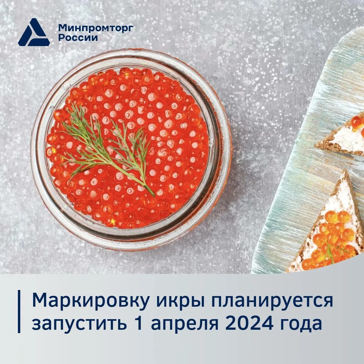 Маркировка икры лососевых. Маркировка икры. фасовка красной икры маркировка. коды маркировки на икру.