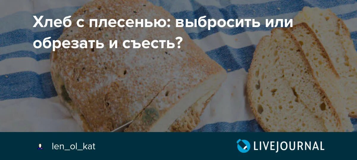 Плесень на хлебе. Ест хлеб с плесенью. Хлеб с плесенью, обрезать или выбросить.. Съел хлеб с плесенью. Ела хлеб с плесенью