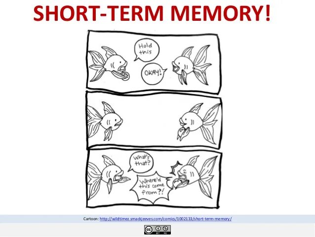 Short memory. Short term Memory. Long-term and short-term Memory. Short-term Memory memes. Pictures about Memory.