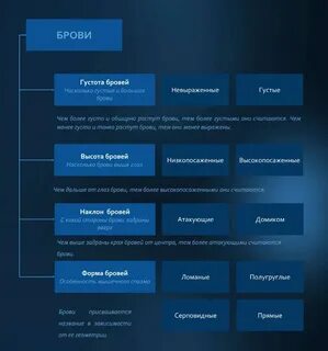 Нейротипология