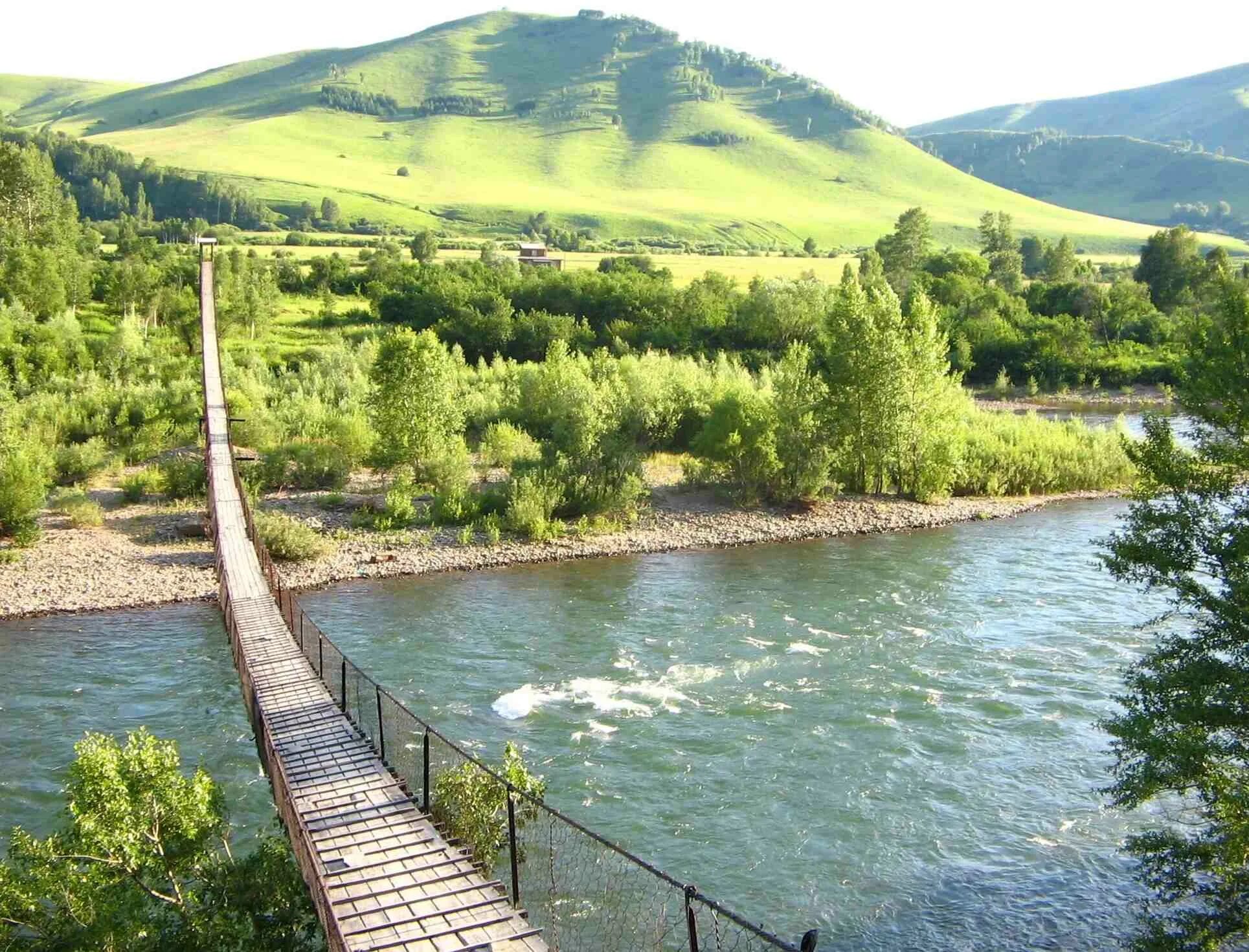 Река Чарыш Алтайский край. Чарыш горный Алтай. Река Чарыш Чарышский район. Река Чарыш горный Алтай. Алей экспре