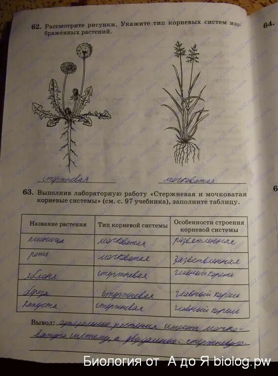 Используя рисунки в параграфе охарактеризуйте