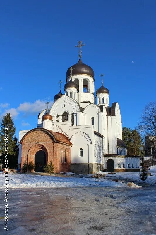 Церковь Покрова Пресвятой Богородицы, православный храм, Россия, Московская обла