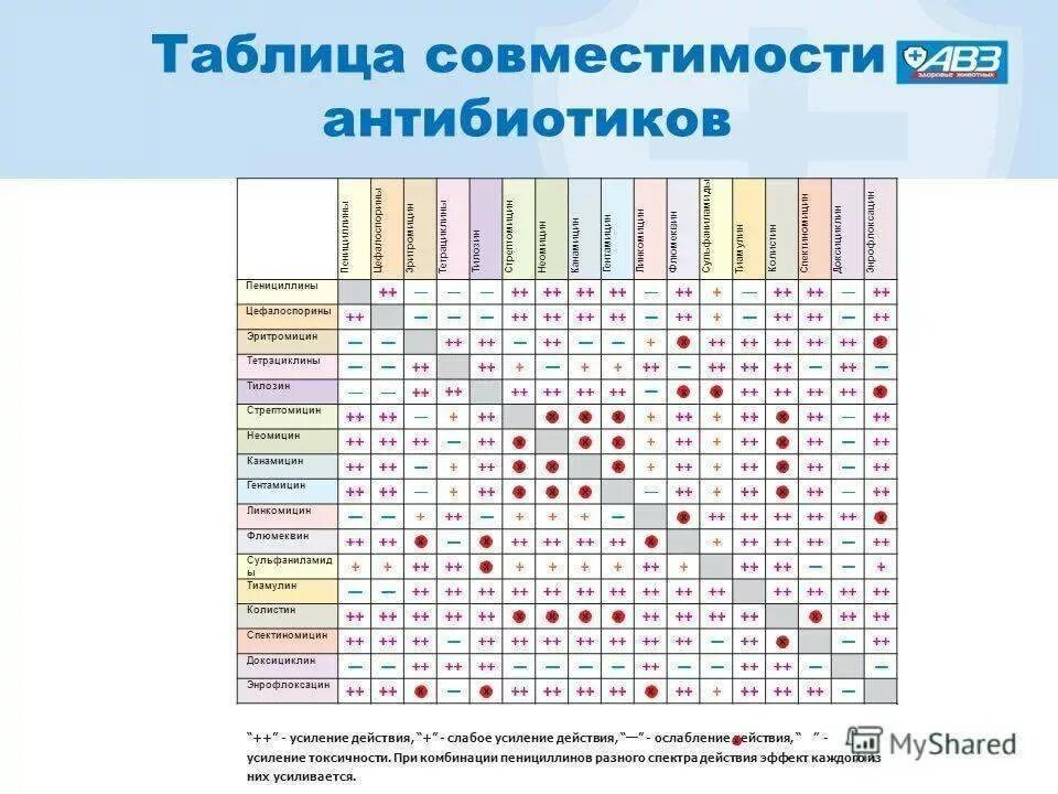 Азитромицин совместимость. Таблица совместимости антибиотиков в ветеринарии. совместимость препаратов антибиотиков таблица. таблица совместимости ветеринарных антибиотиков. взаимодействие антибиотиков между собой таблица.