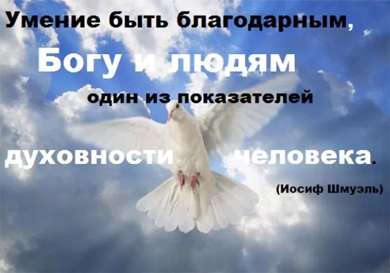 Благодарю почему а