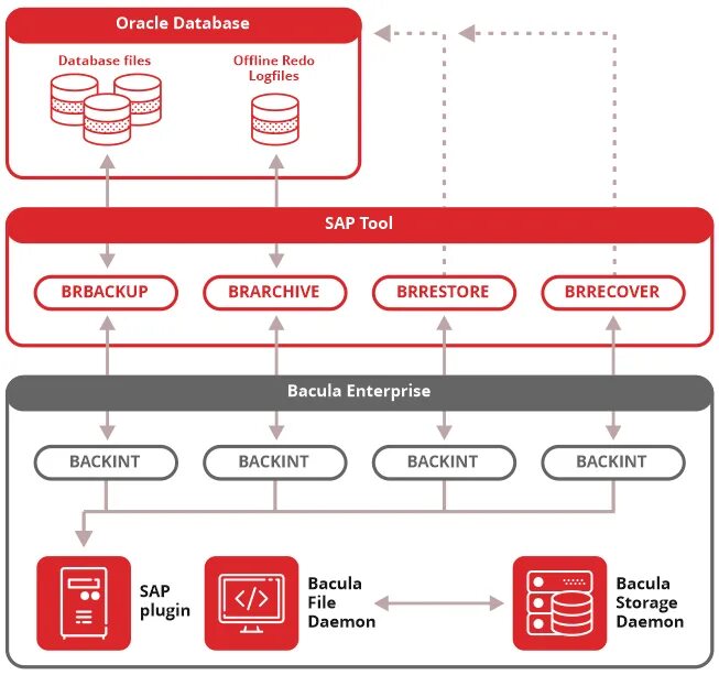 Oracle разработка. Oracle программа. копирование sap. виды backup. автоматизация oracle.