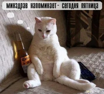 Давайте напомним