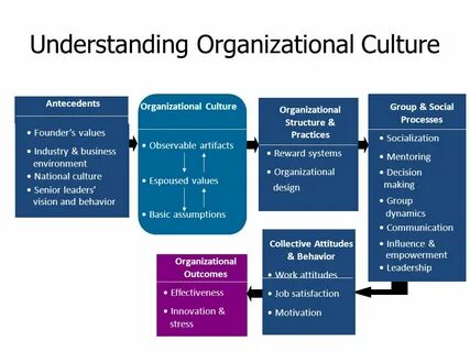 Understanding the culture