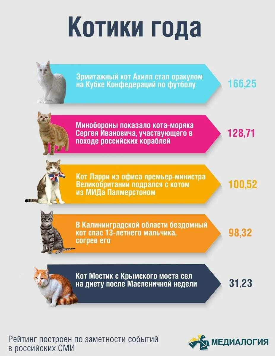 Рейтинг кошек. Самая умная кошка список. Рейтинг котов по интеллекту. Расписание кота. Рейтинг умных пород