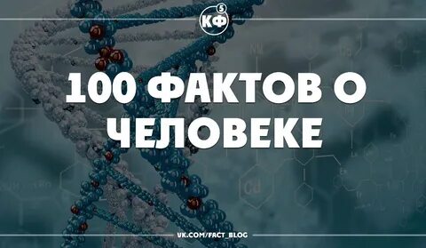 Категории фактов