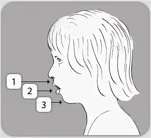 Дыхание открытым ртом. Ротовое дыхание прикус.