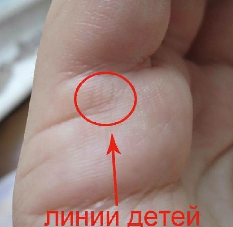 Полоски детей на руке. Хиромантия линия детей. Хиромантия линия детей. Полоски детей на руке. Хиромантия линия детей.
