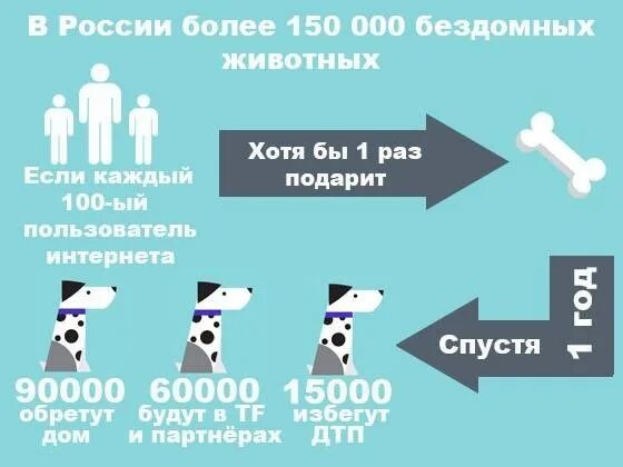 Статистика животных в россии. Статистика по бездомным животным в России. Сколько бездомных животных в России. Количество бездомных животных в России. Инфографика бездомные животные.