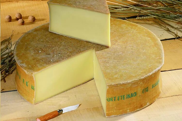 Сыр круглый деревенский. Cheese born. Give me the cheese bear. Швейцарский сыр эмменталь. Сыр из роблокса.