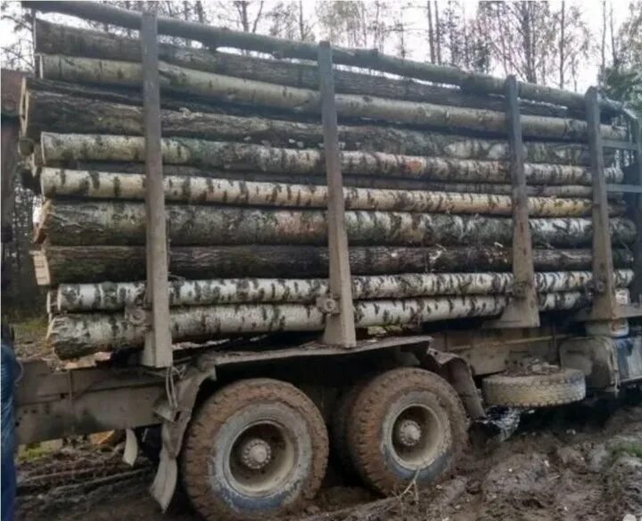 Сколько стоит лесовоз дров