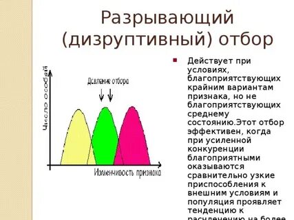 Вфм отбор