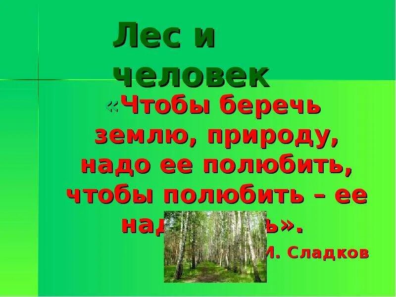 Песня берегите лес. Лес и человек презентация. Презентация о лесе для начальной школы. «Чтобы беречь землю, природу, надо её полюбить.. Берегите люди лес.