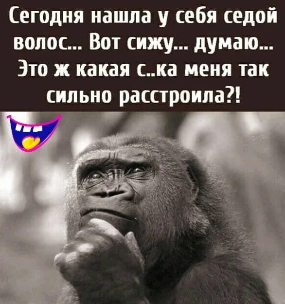 Сижу и думаю какая я. Сижу и думаю какая я