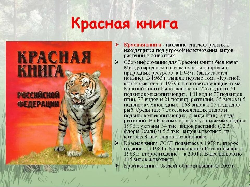 Красная книга какая она. Информация о красной книге. Красная книга России животных. Сообщение о красной книге. Доклад про красную книгу.