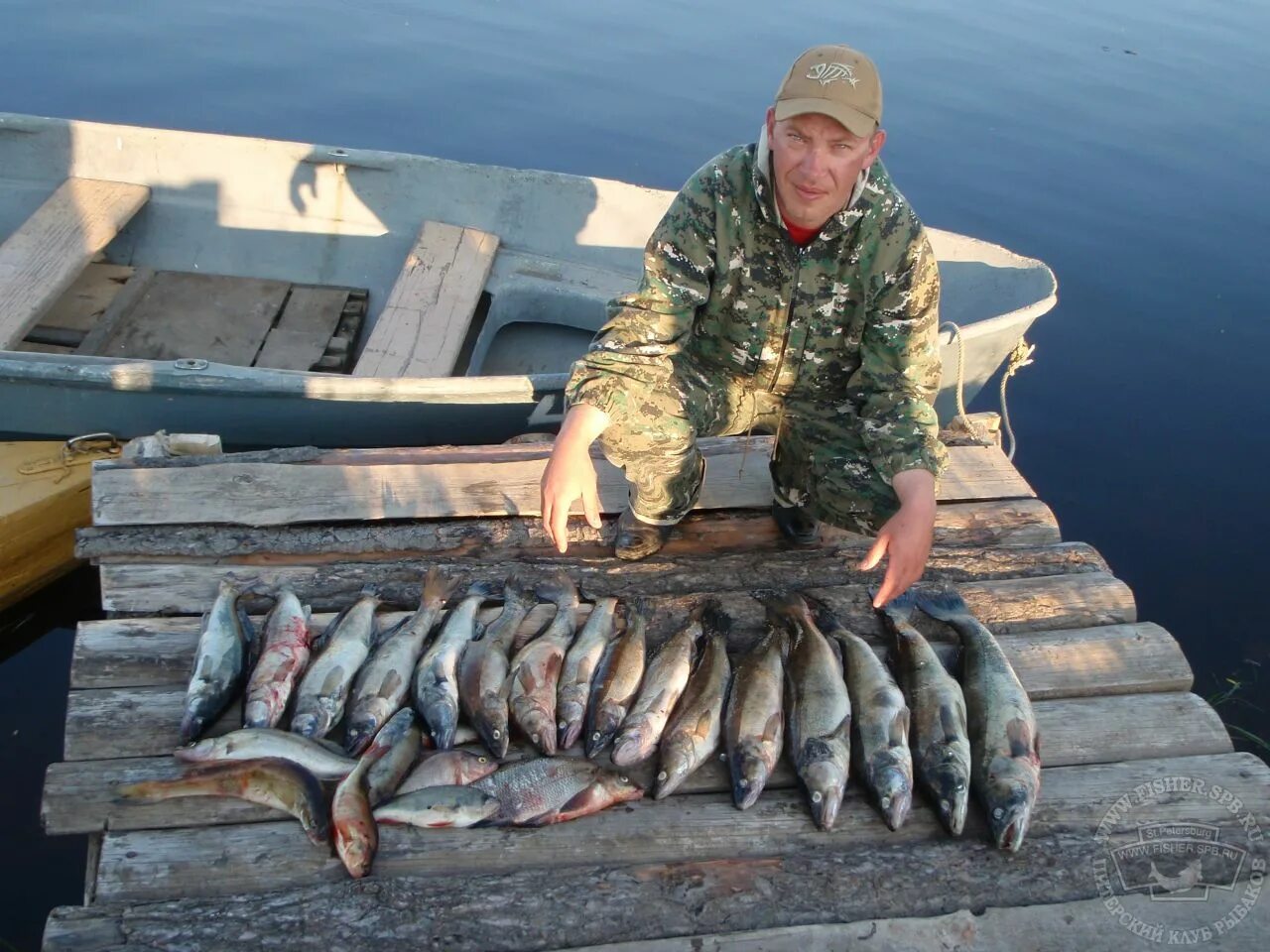 Рыбалка в ленинградской области на ладоге. Свирь Ладога. Рыба реки Свирь. Свирь рыбалка. Рыба Ладоги.