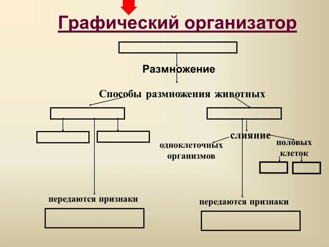 Назовите тип размножения