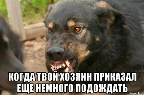 Плохо подожди