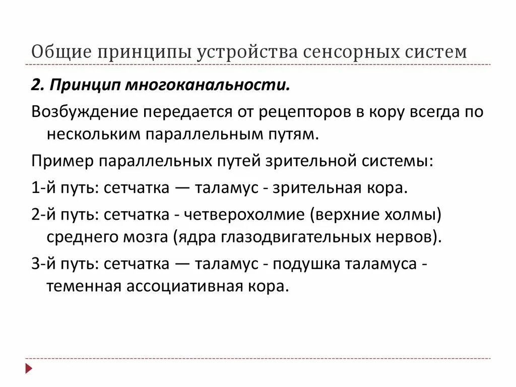 К принципам организации сенсорных систем можно отнести. К принципам организации сенсорных систем можно отнести
