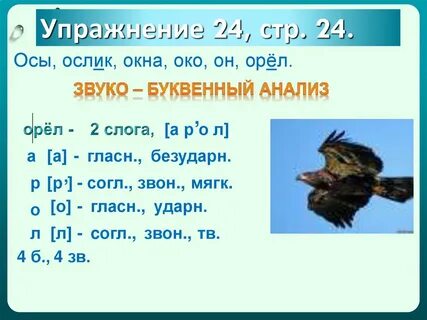 Разбор слова орел