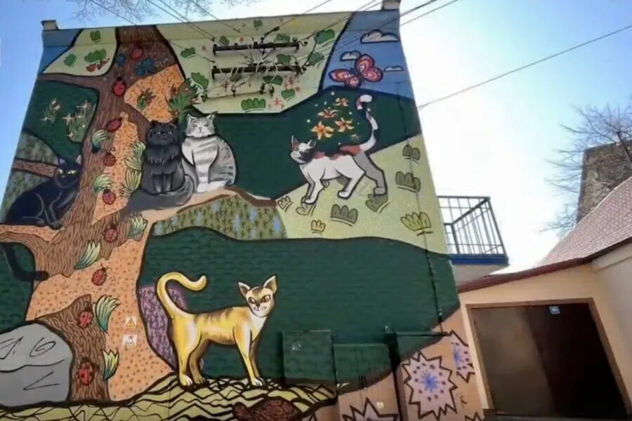 Зеленоградск фото рисунков котиков