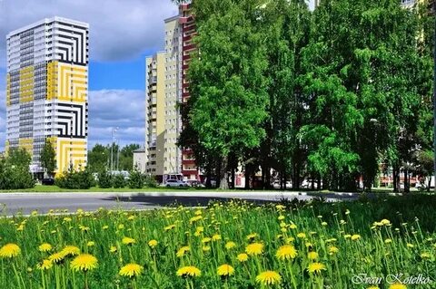 Цветы закамск