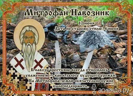 Народный календарь 29 июня