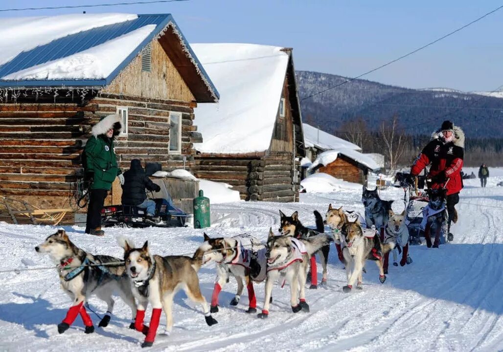Собаки Айдитород на Аляске. Iditarod Trail Sled Dog Race. Русские на Аляске. Жизнь на Аляске. Сколько времени на аляске