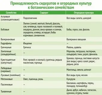 Огурцы после картошки можно