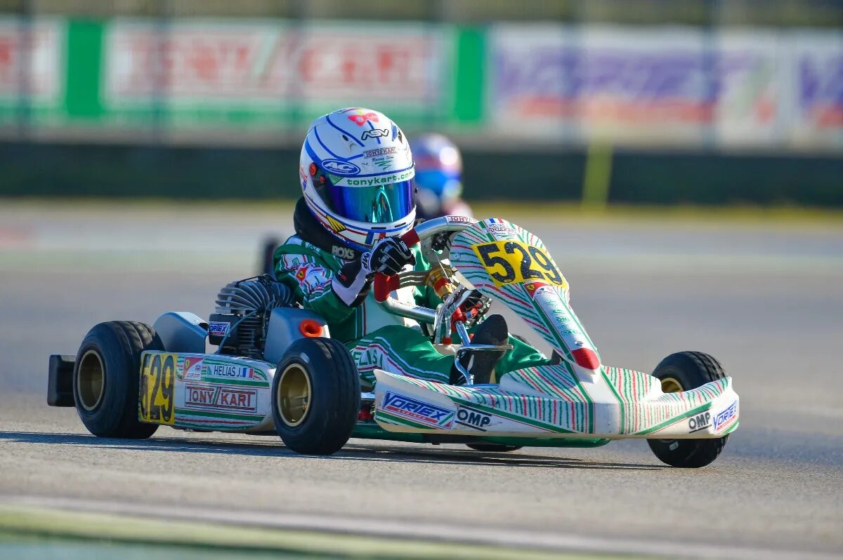 Фото картов. Шасси Tony Kart Rookie. Tony Kart 2001. Рама Tony Kart. Арт Инглс картинг.
