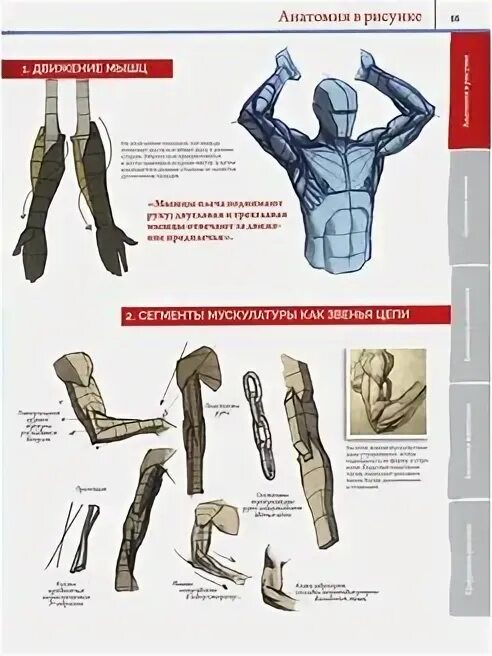 Создание реалистичных людей и животных. Создание реалистичных людей и животных