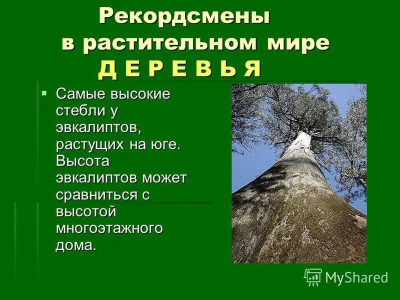 Кто является рекордсменом